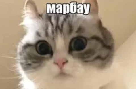 Мемы «марбау»