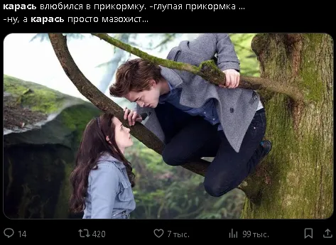 К концу 2024 года мем «Карась дуреет от этого прикорма» стал популярнее