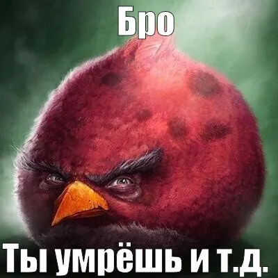 «Бро, ты умрёшь и т.д.» с красной птицей из Angry Birds