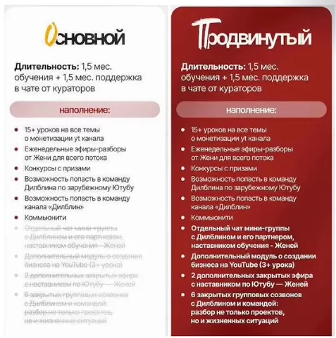 Для своих курсов Дилблин запустил платное обучение с двумя тарифами – «Основной» и «Продвинутый»