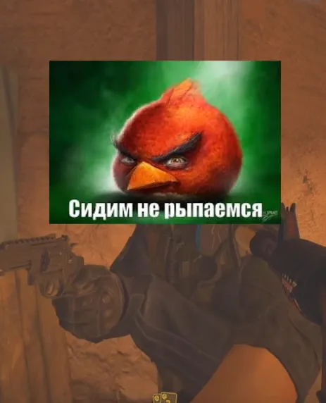 «Сидим-не рыпаемся»
