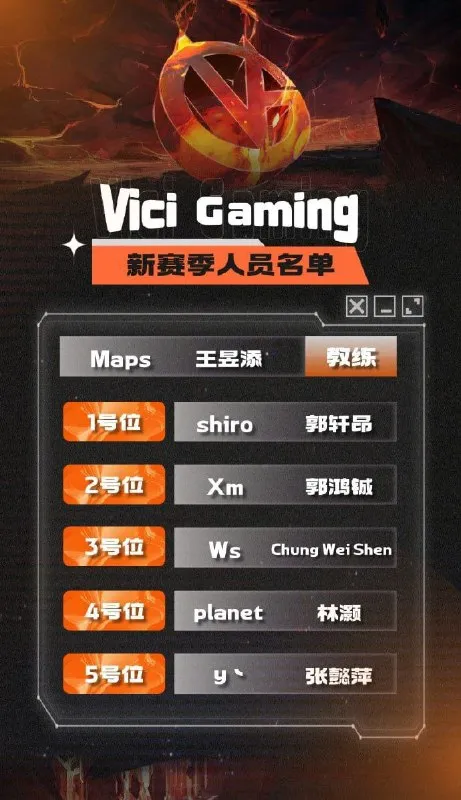 Состав Vici Gaming