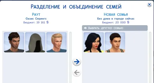 семья