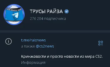 Райз купил домен @cs2news, принадлежащий новостному TG-каналу CS2 News
