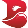 Bleed Esports