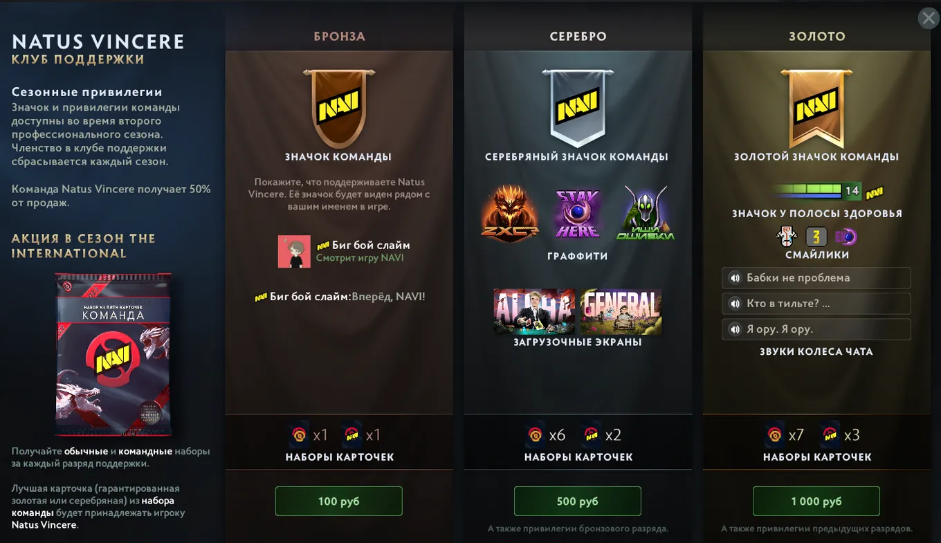 Командный бандл Natus Vincere
