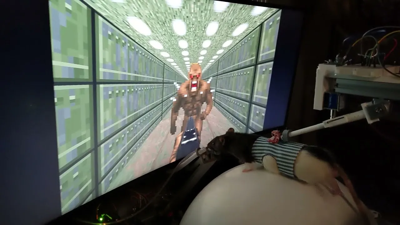 Крыса в Doom 2