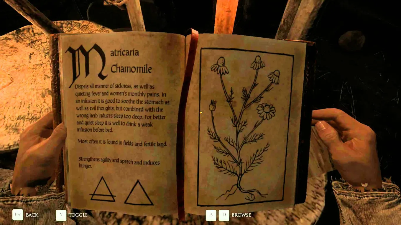 Kingdom Come: Deliverance