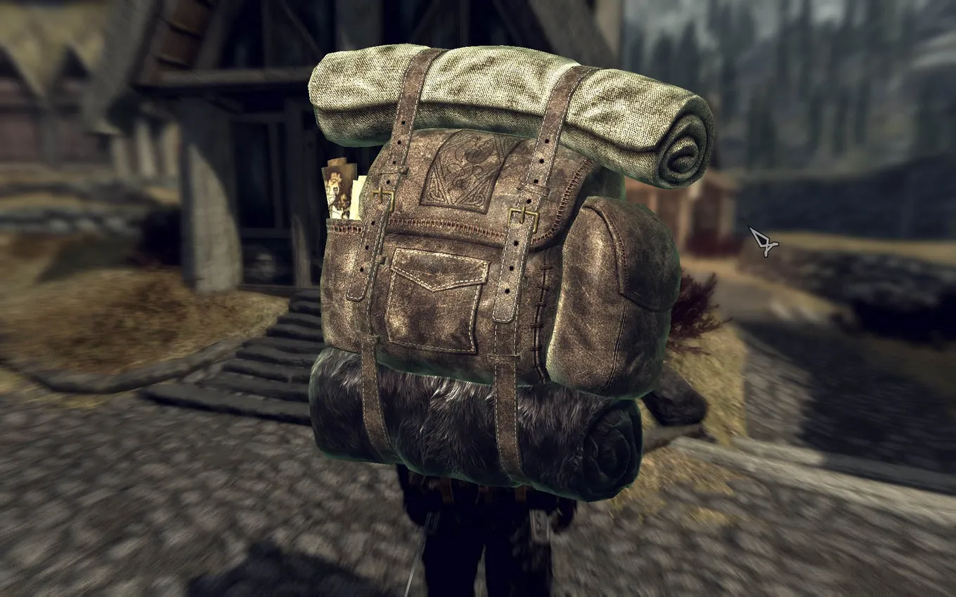 Skyrim сумки