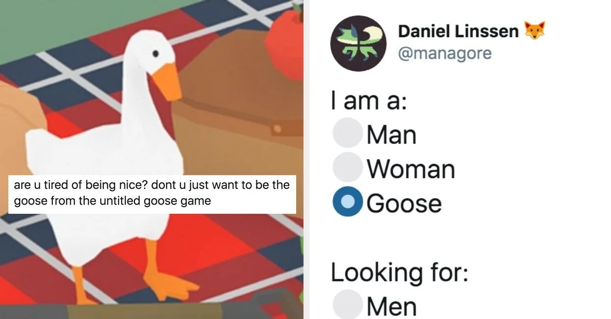 Untitled Goose Game