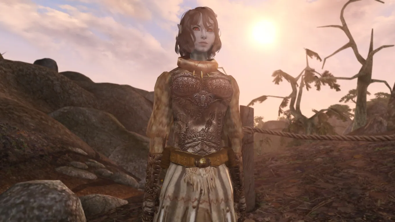 The Elder Scrolls III: Morrowind