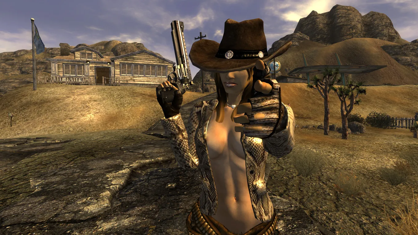 Fallout New Vegas