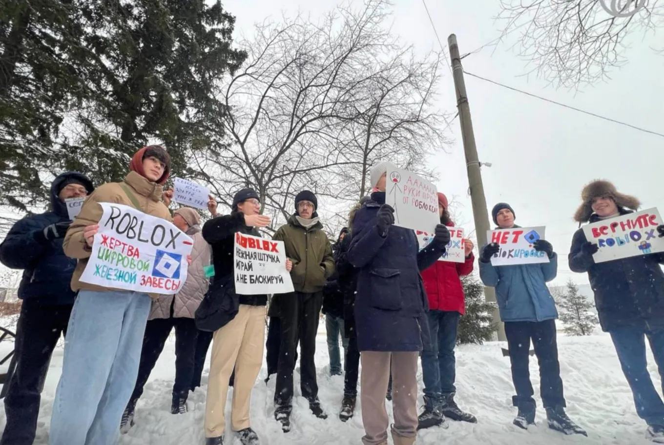 Митинг против блокировки Roblox