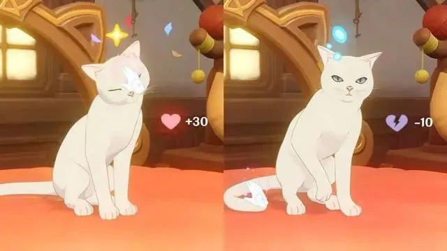 Котик в Genshin Impact
