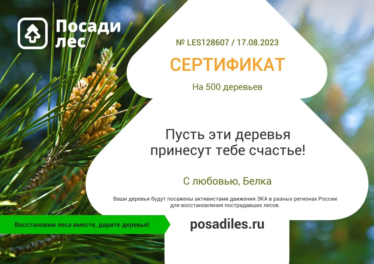 Exile посадил 500 деревьев