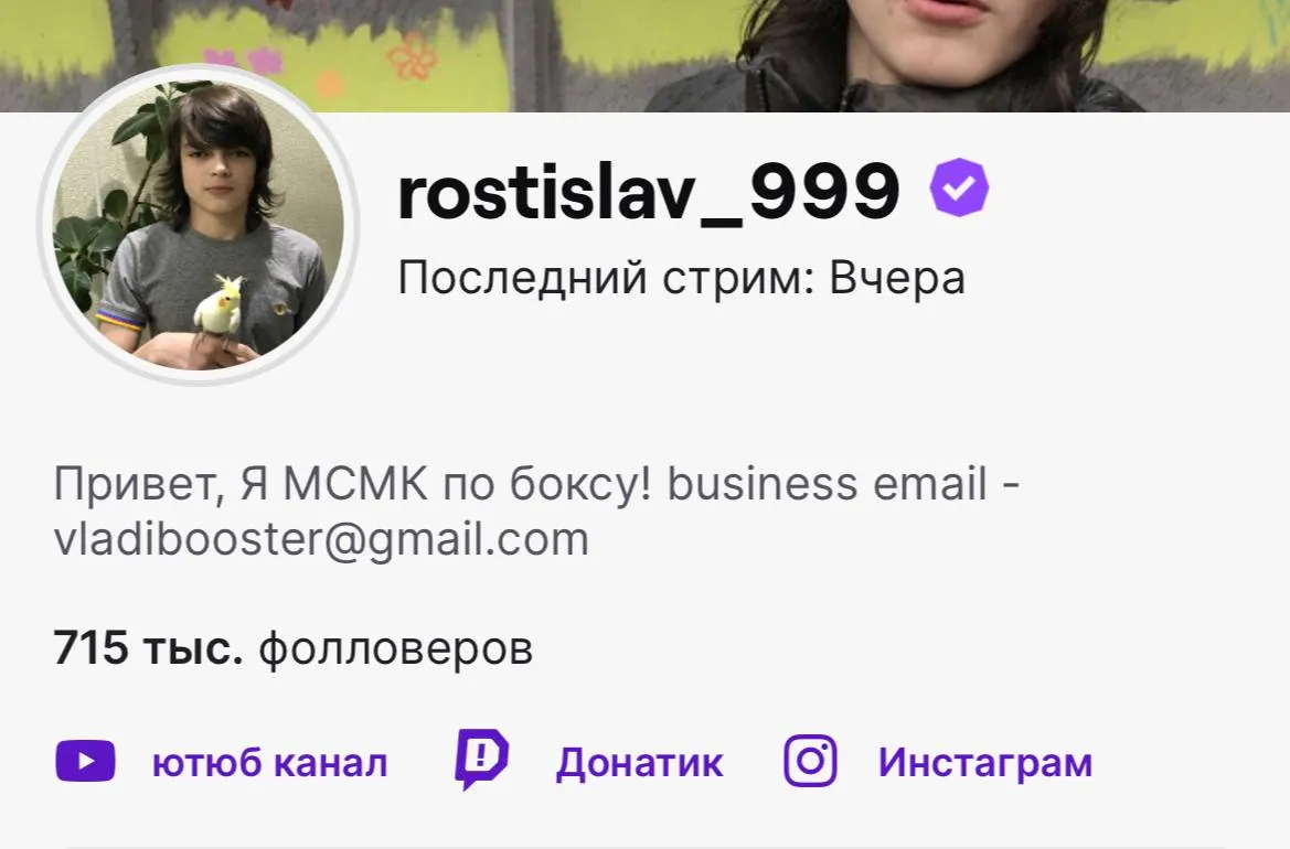 Twitch разблокировал канал стримера Ростика спустя сутки