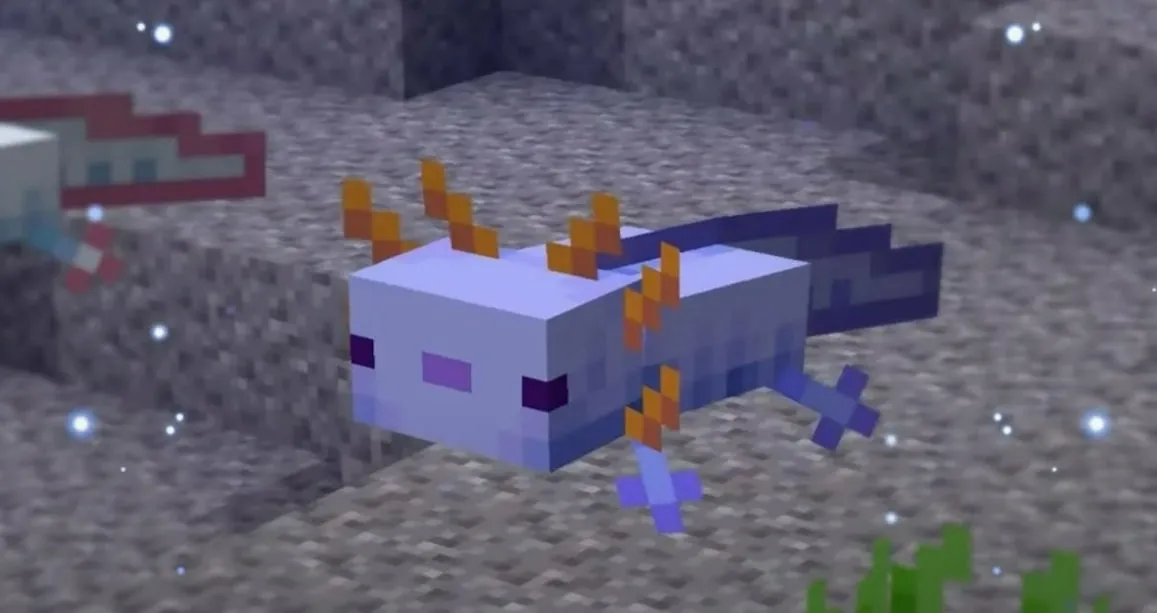 aksolotl