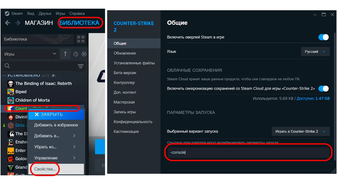 Параметры запуска CS2 в Steam