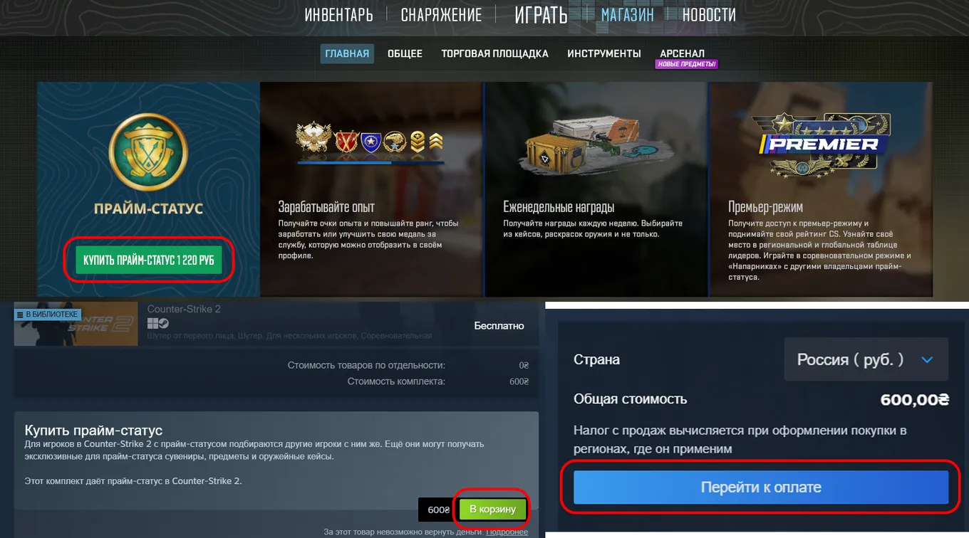 Прайм-статус в CS2: сколько стоит и как купить