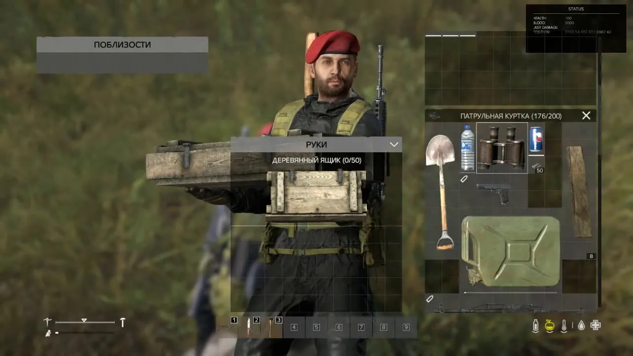 DayZ
