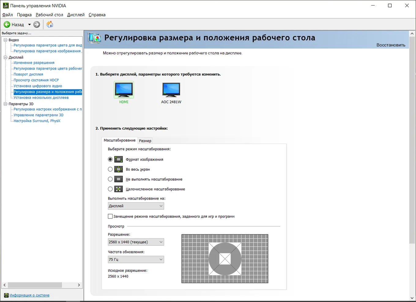 Регулировка размера и положения рабочего стола в NVIDIA App
