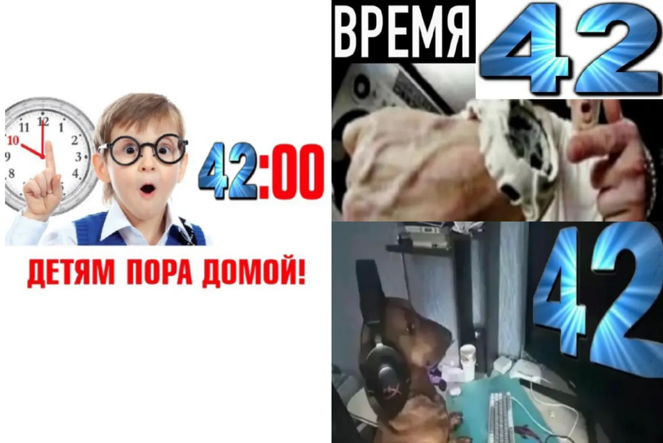 Мемы «42, братуха»