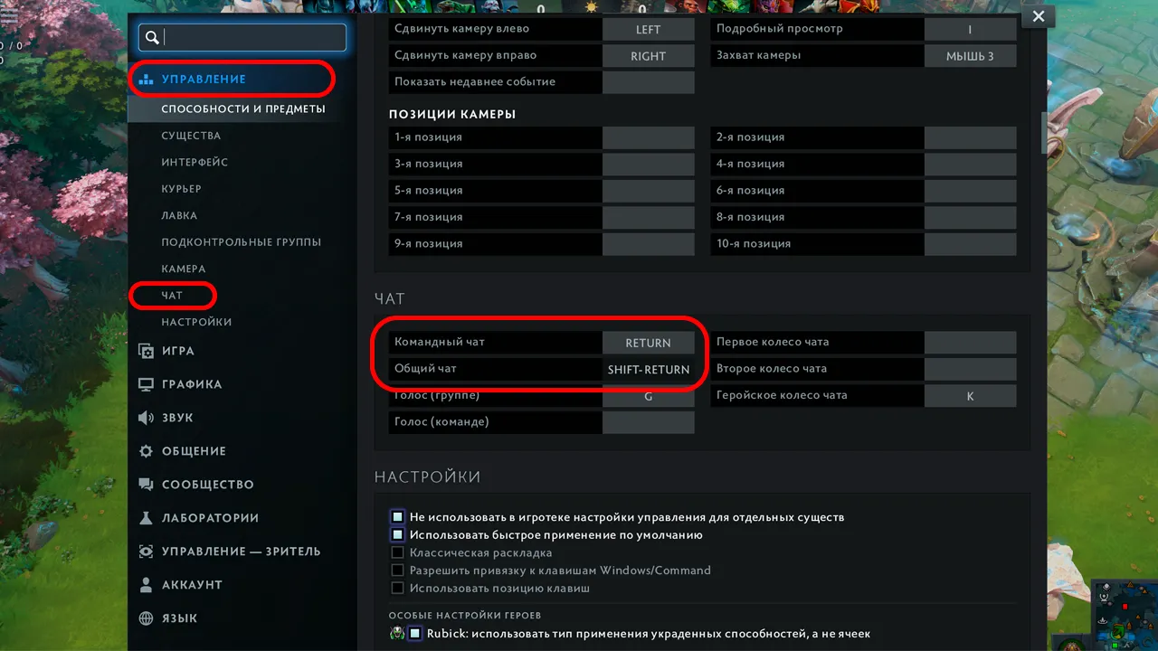 Как писать в общий чат в Dota 2: все способы