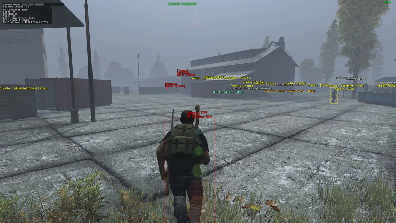 DayZ