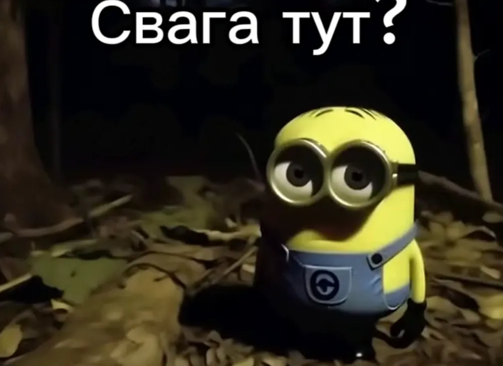 Адаптация мема «Свага тут?»