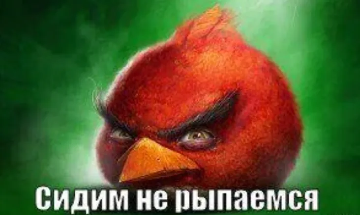 Мем «Сидим-не рыпаемся»