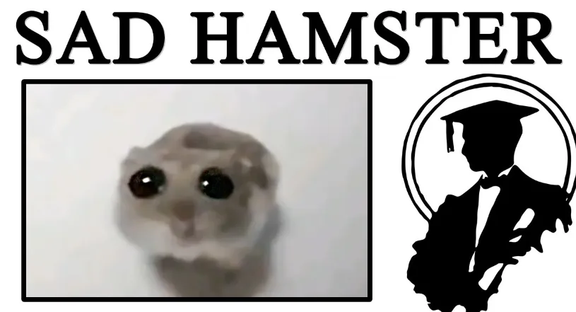 Мем Sad Hamster