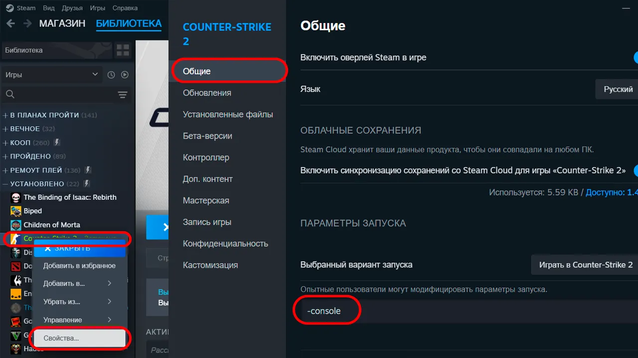 Как включить консоль в CS2: все способы
