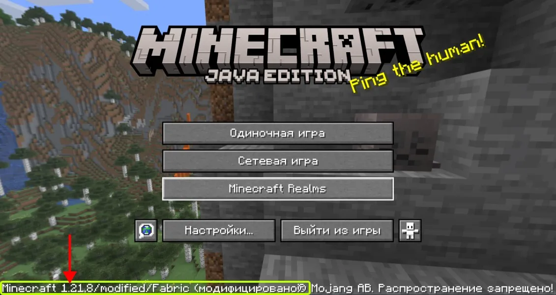 majnkraft-s-modami-i-profilem