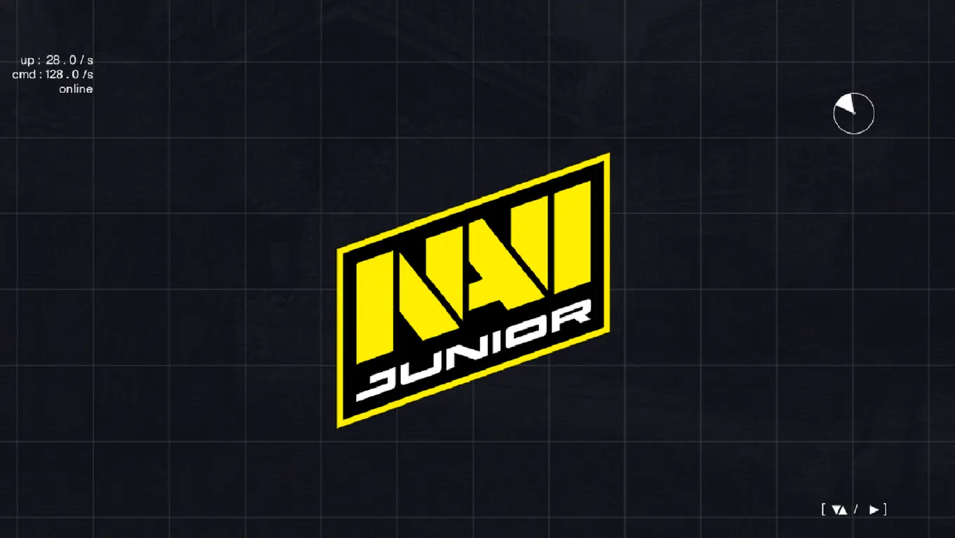 Состав NaVi Junior по Dota 2