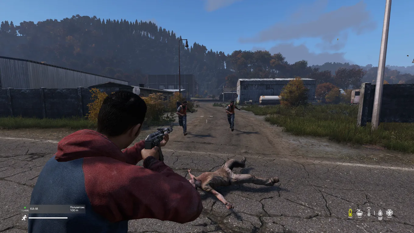 DayZ