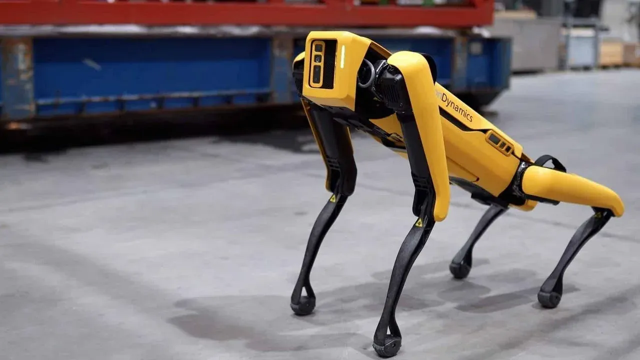 Для поиска диска предполагалось использовать роботов-собак Spot от Boston Dynamics, которые должны были патрулировать свалку днём и ночью, сканируя территорию