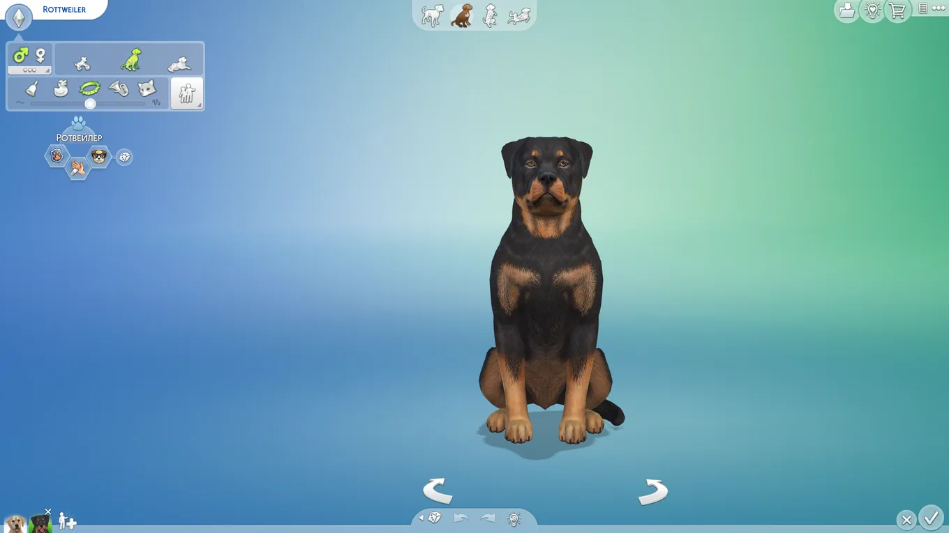 Собака в The Sims 4
