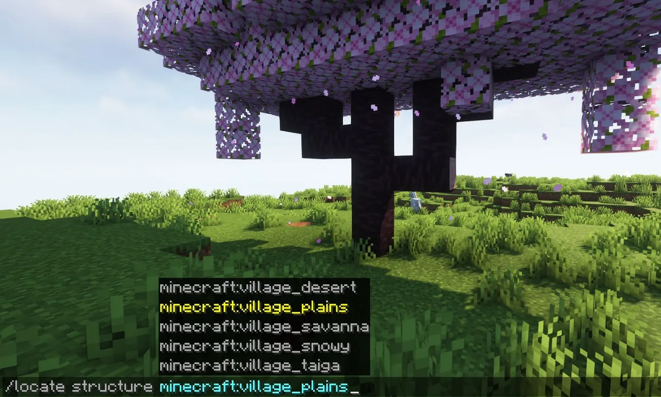 Команда в «…village» Minecraft
