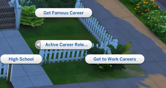Active Career Role