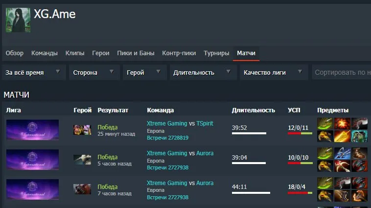 Статистика Ame на The International 2025 (dotabuff)