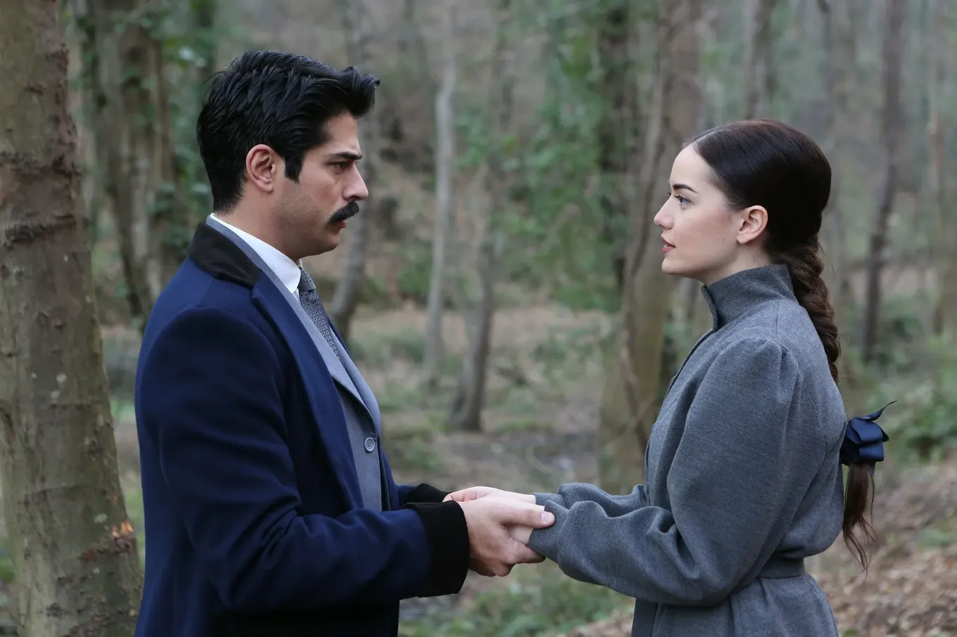 Королек — птичка певчая (Çalikusu)
