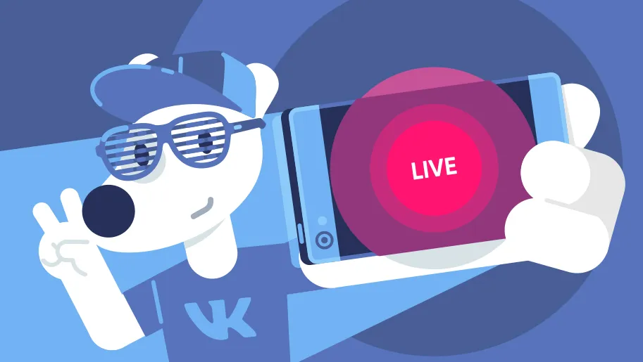 Как подписаться на стримера в VK Play Live