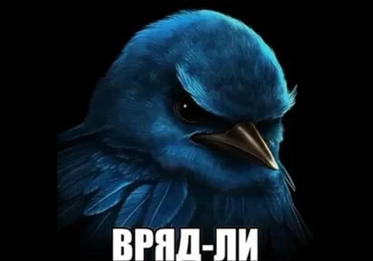 В декабре 2025 года в русскоязычном интернет-комьюнити вирусится новый абсурдный мем с синей птицей и надписью «Вряд-ли»