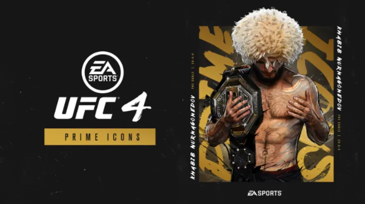 Хабиб Нурмагомедов на обложке UFC 4