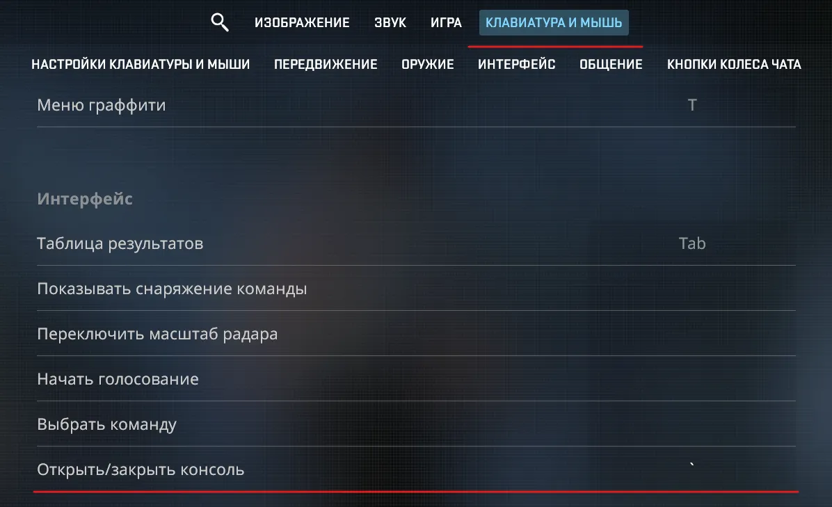 Как включить консоль в CS2: все способы