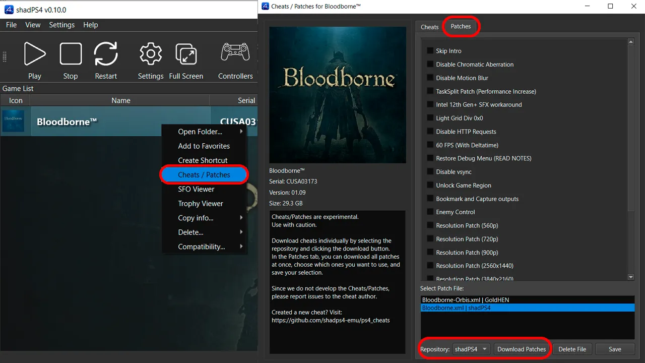 Как поиграть в Bloodborne на ПК через эмулятор