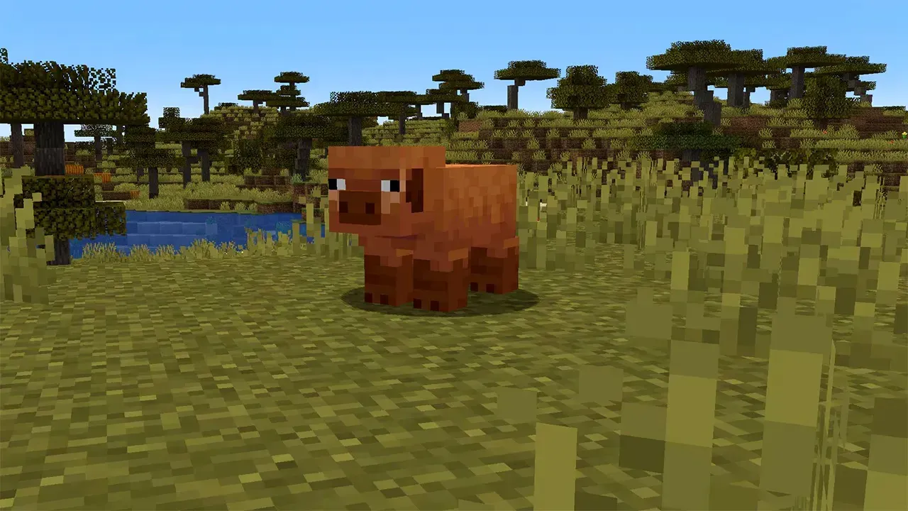 Minecraft