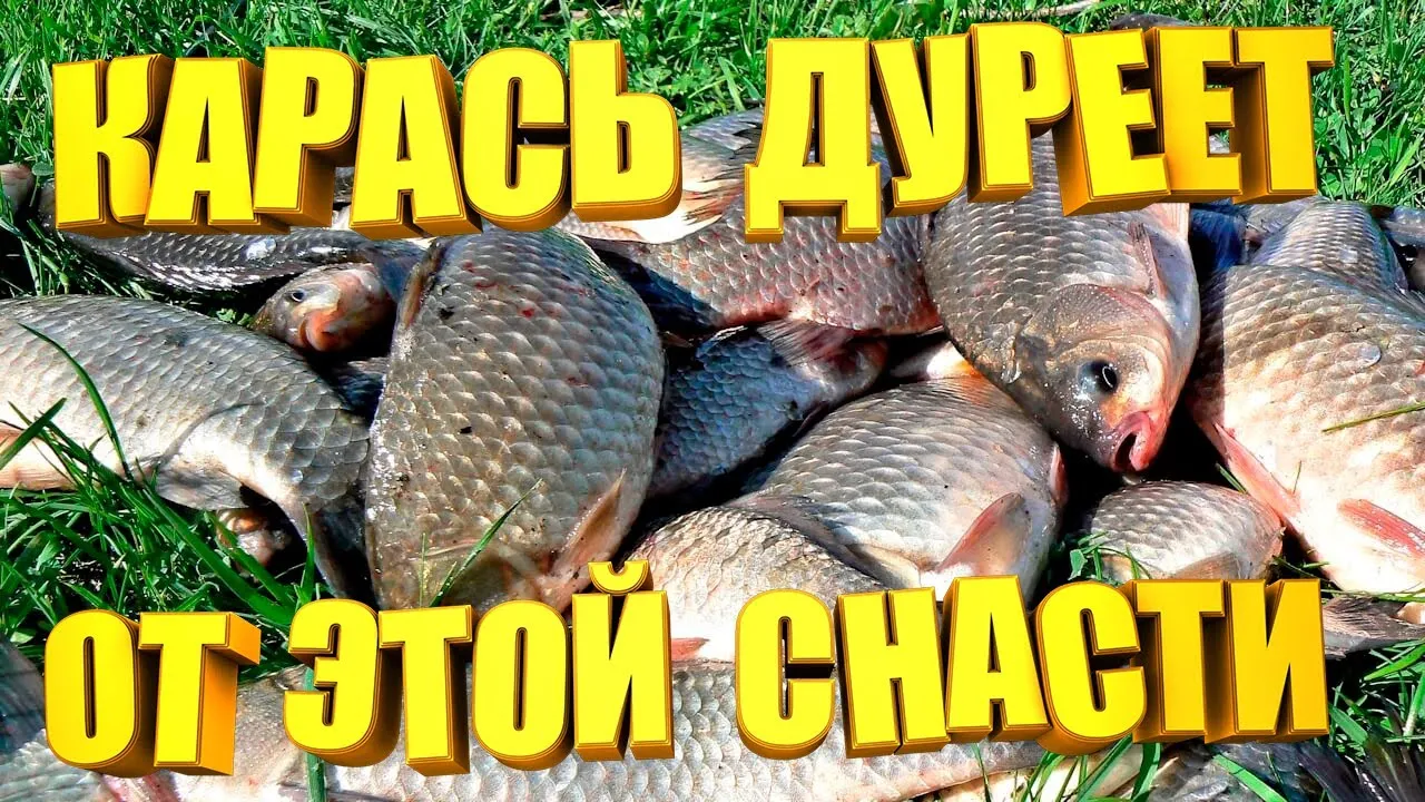 Одна из кликбейтных обложек на «Ютубе»