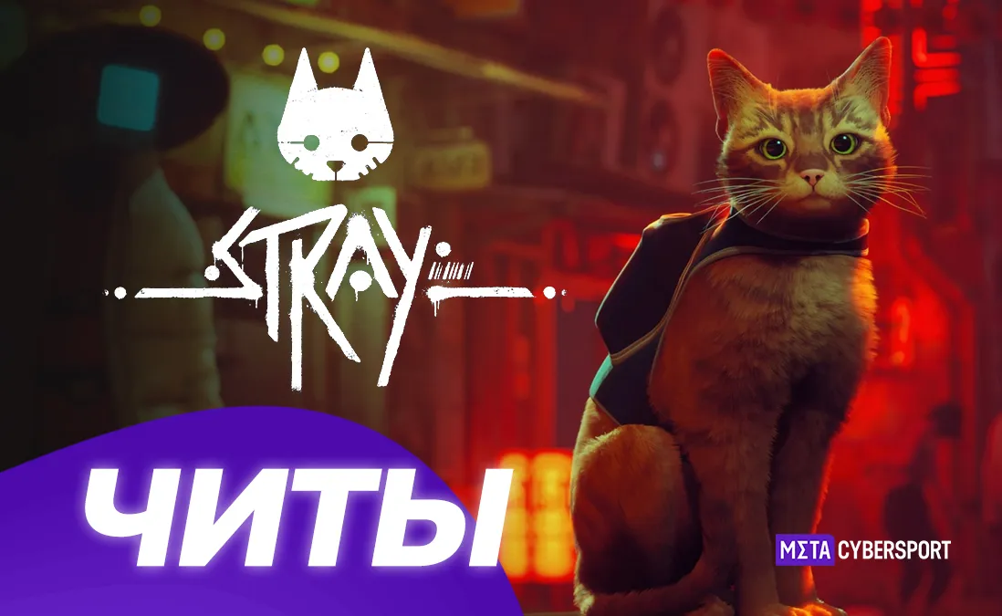 Трейнер для Stray