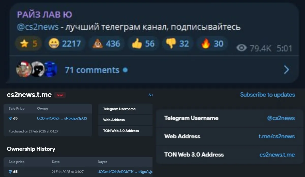 Пост Райза и данные сделки по приобретению домена cs2news